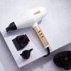 Babyliss PRO WHITEFX Uscător de păr digital 2200W pentru rezultate de salon