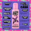 Crazy Color vopsea de păr 100ml No.50 - Vinete