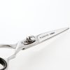 Iwasaki Executive Silver Fuji foară de păr 5" - Eleganță și precizie pentru coafuri perfecte.