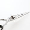 Foarfeca de coafat Iwasaki Executive Silver Fuji 5,5" - precizie și eleganță pentru stilul tău.